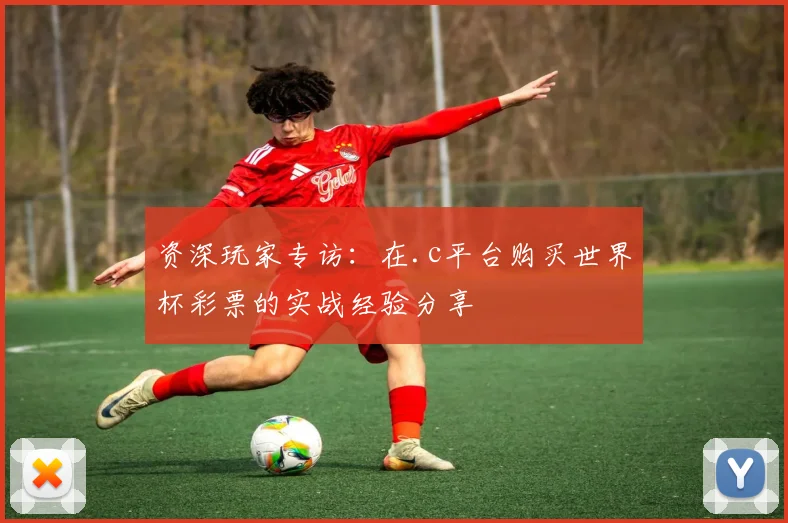 资深玩家专访：在.c平台购买世界杯彩票的实战经验分享