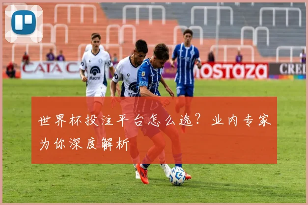 世界杯投注平台怎么选？业内专家为你深度解析