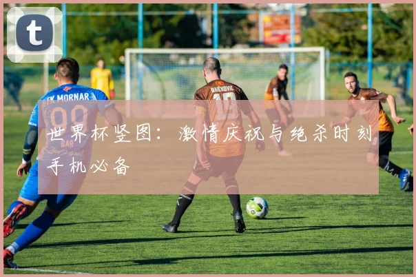 世界杯竖图：激情庆祝与绝杀时刻手机必备