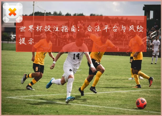 世界杯投注指南：合法平台与风险提示