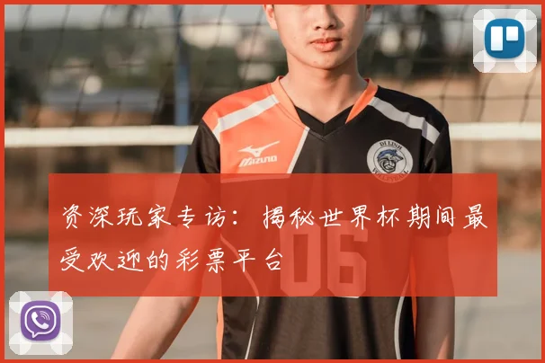 资深玩家专访：揭秘世界杯期间最受欢迎的彩票平台