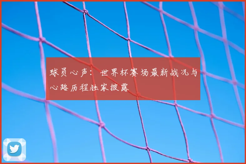 球员心声：世界杯赛场最新战况与心路历程独家披露