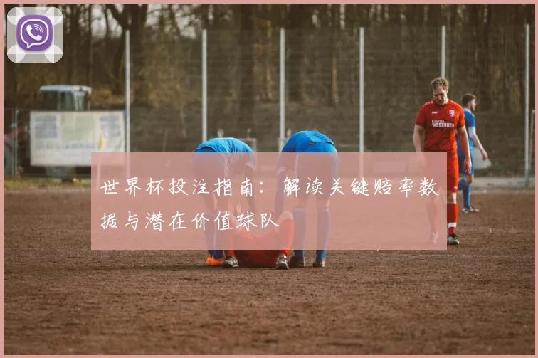 世界杯投注指南：解读关键赔率数据与潜在价值球队