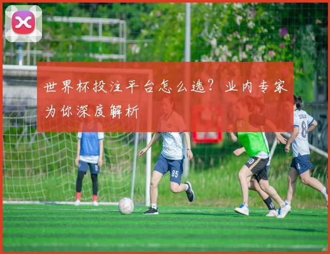 世界杯投注平台怎么选？业内专家为你深度解析
