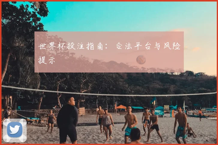 世界杯投注指南：合法平台与风险提示