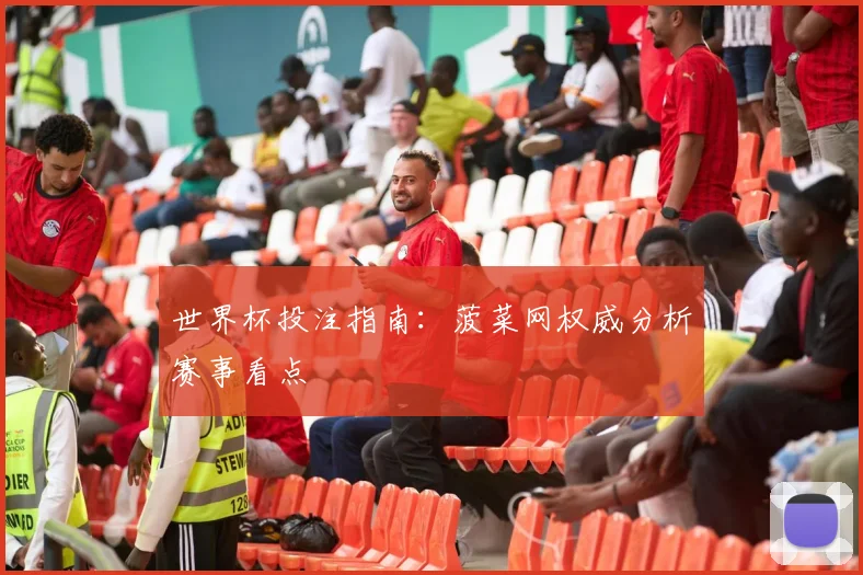世界杯投注指南：菠菜网权威分析赛事看点