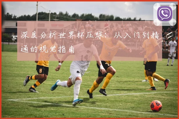 深度分析世界杯压球：从入门到精通的视觉指南
