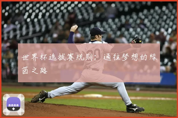世界杯选拔赛规则:通往梦想的绿茵之路