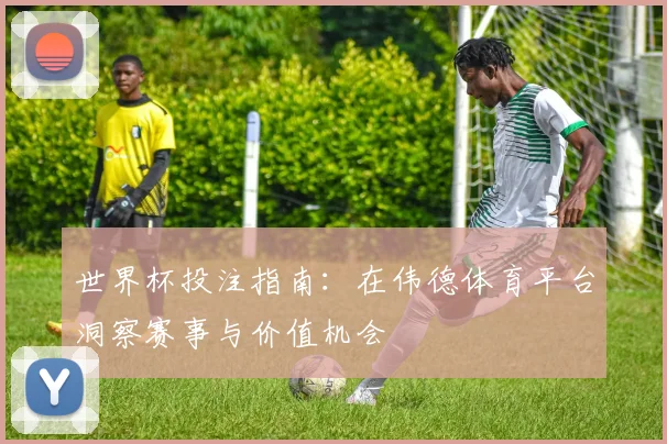 世界杯投注指南:在伟德体育平台洞察赛事与价值机会