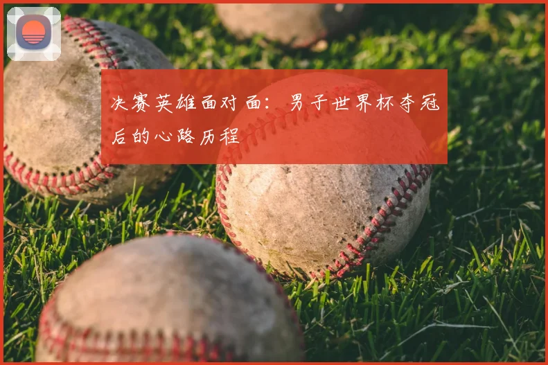 决赛英雄面对面：男子世界杯夺冠后的心路历程