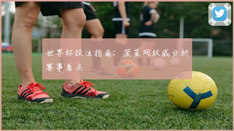 世界杯投注指南：菠菜网权威分析赛事看点
