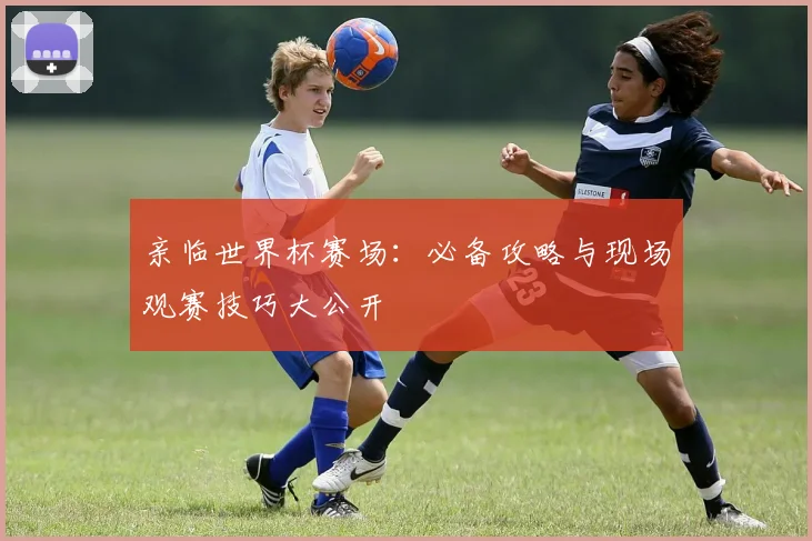 亲临世界杯赛场：必备攻略与现场观赛技巧大公开