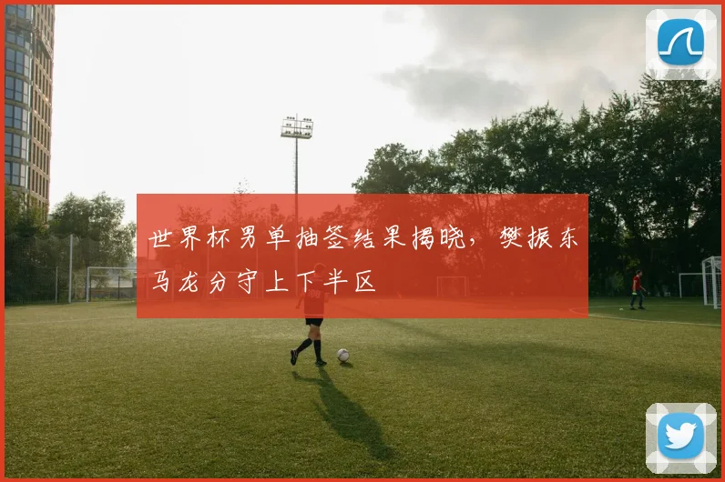 世界杯男单抽签结果揭晓，樊振东马龙分守上下半区