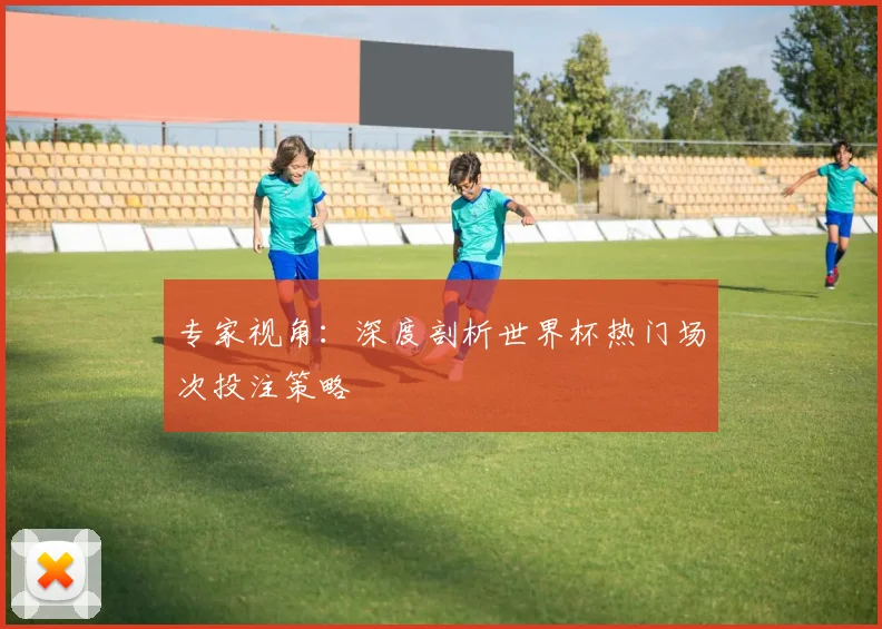专家视角：深度剖析世界杯热门场次投注策略